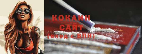 мет Заводоуковск