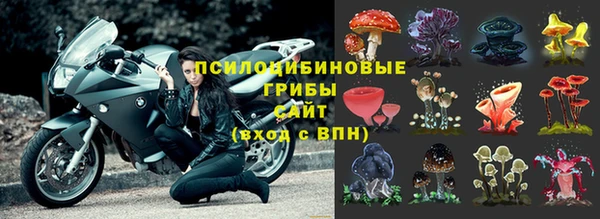 PSILOCYBIN Заволжье