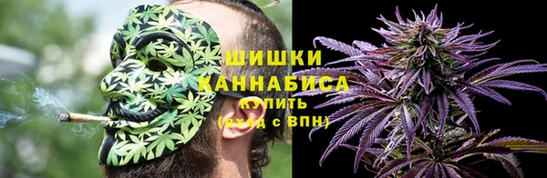 PSILOCYBIN Заволжье